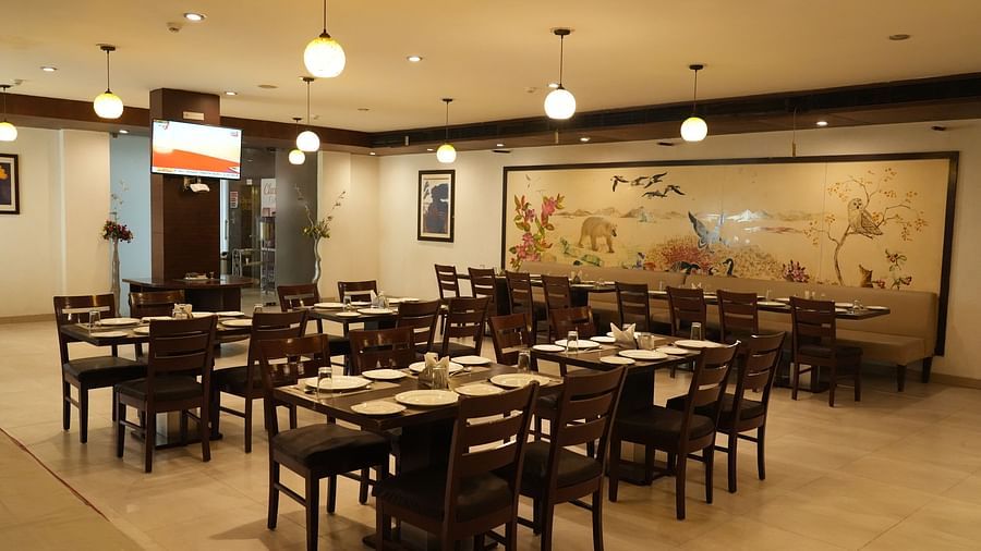 A restaurant with seating arrangements and ceiling lights at Clarks Collection, Bhavnagar
