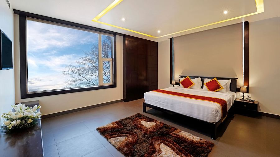 Suite 6