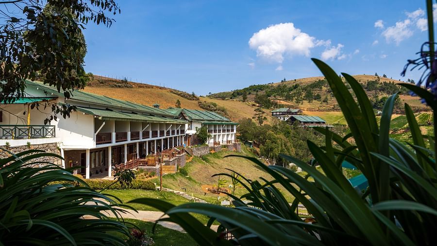 view of destiny the farm resort surrounded by lush green hills and mountains