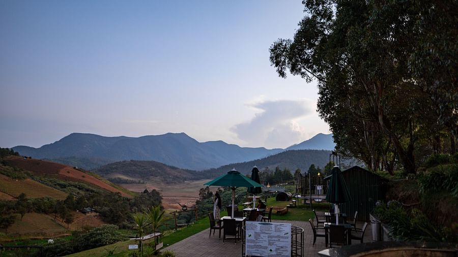 the coffee shop surrounded by verdant hills and greenery at destiny