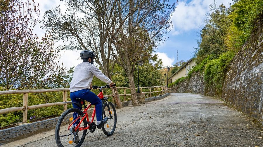  A serene paved pathway lined with trees, where a cyclist enjoys a leisurely ride through the resort's lush landscape - Digantaa Resort in Mukteshwar
