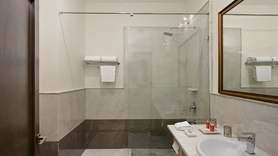 Fateh Vilas Udaipur - interior view of the bathroom featuring a shower area that has a glass barricade