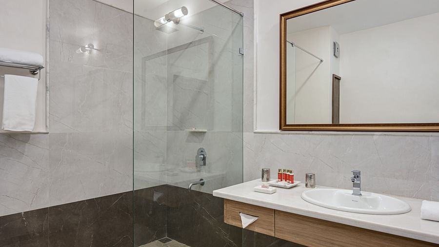 Fateh Vilas Udaipur - interior view of the bathroom featuring toiletries a shower area and a wash basin