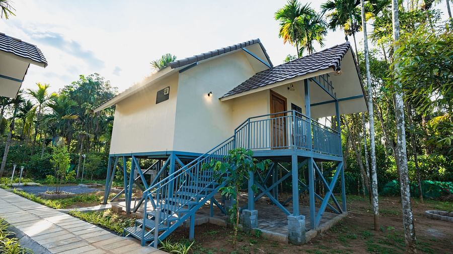 View of a room in an open space surrounded by trees at Feel Free Retreat, Wayanad