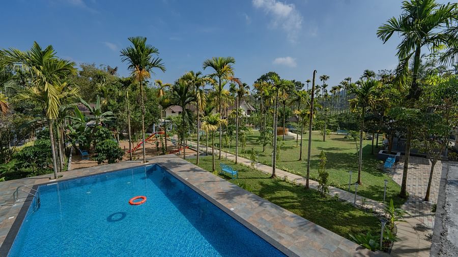 Top view angle of swimming pool surrounded by trees at FEEL FREE RETREAT