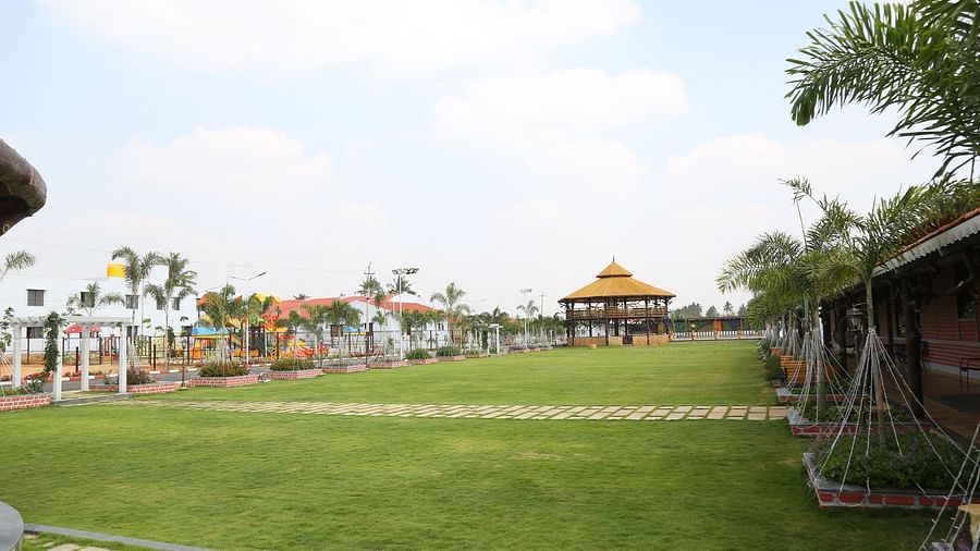 Lawn