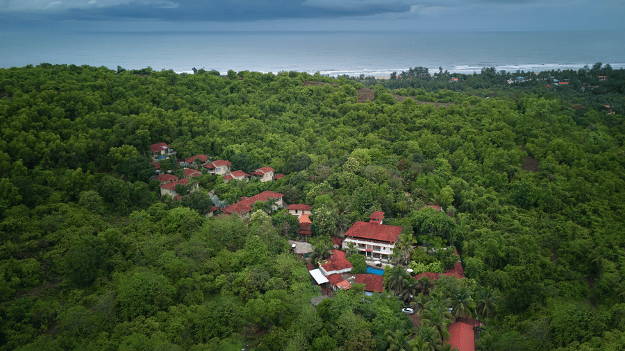 Birds eye View 2