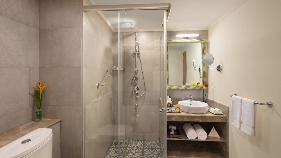 bathroom with a separate cubicle