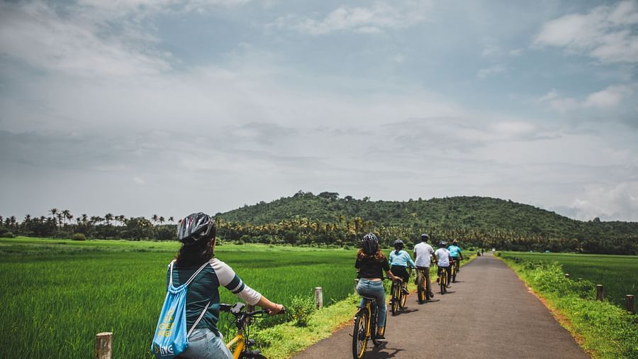 people riding their bicycles
