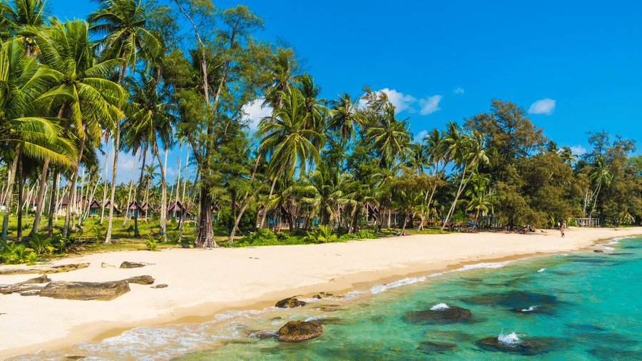 A beach with clear water, a sandy beach, and a line of palm trees along the shore under a clear sky.