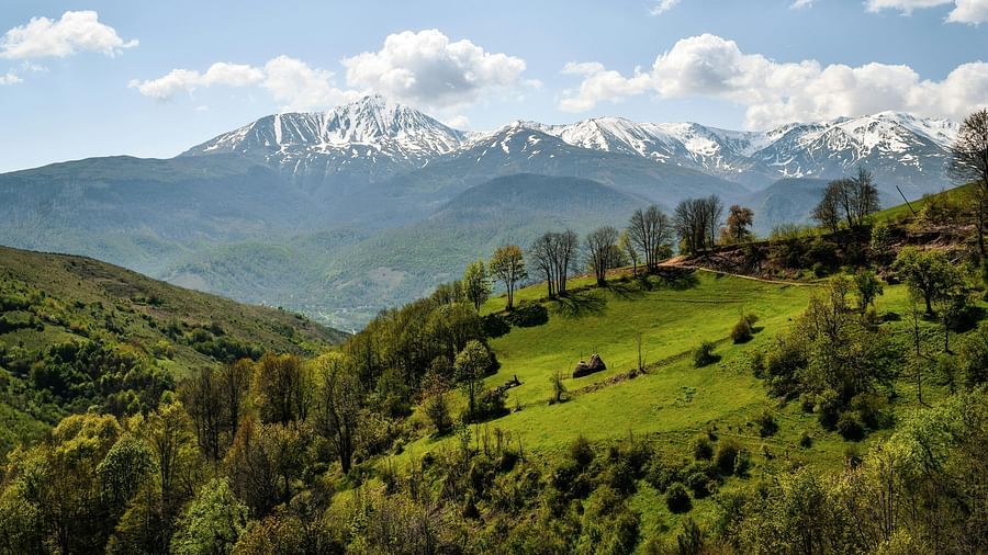 a big lush green garden on a mountain