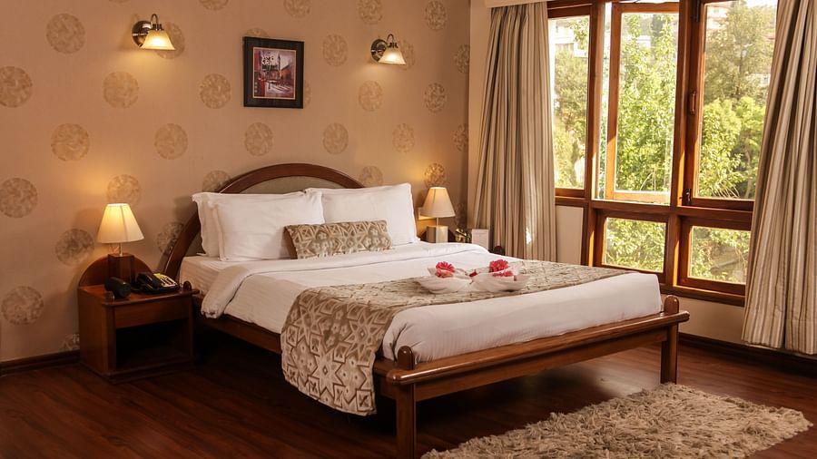 Hotel room with forest view