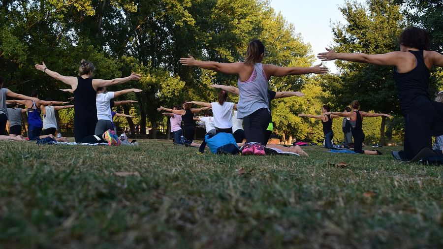 View of group of women doing yoga on the ground surrounded by trees.