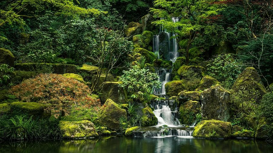 an overview of a waterfall cascading down to a waterbody with forest cover