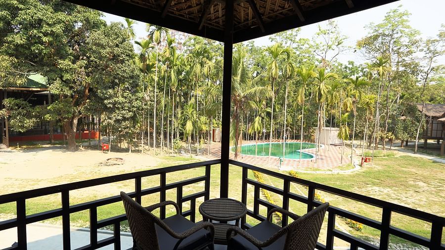 Pool Facing Rooms at Infinity Resorts Kaziranga 5