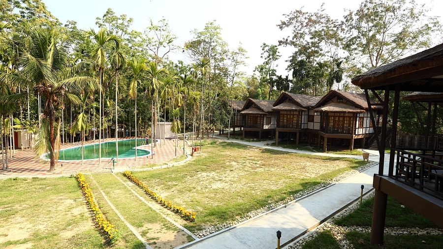 Pool Facing Rooms at Infinity Resorts Kaziranga 7