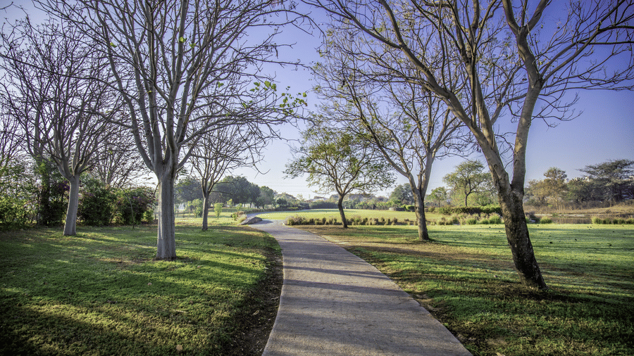 Neatly trimmed hedges at the golf course at Karma Lakelands