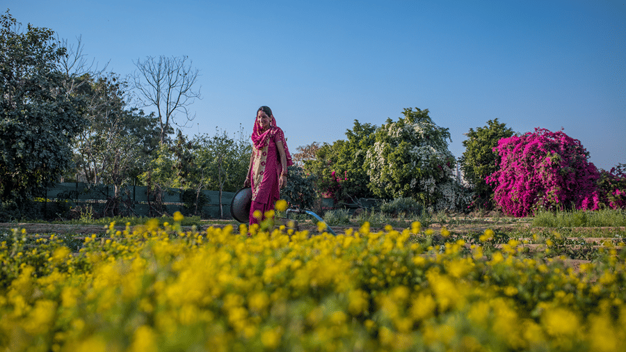 A staff member standing in the garden with flowers in the foreground - Karma Lakelands.