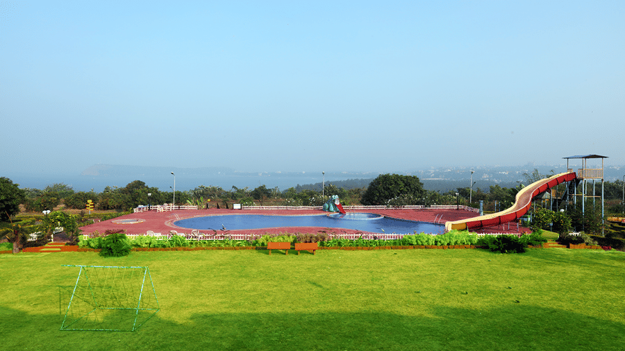 Lawn
