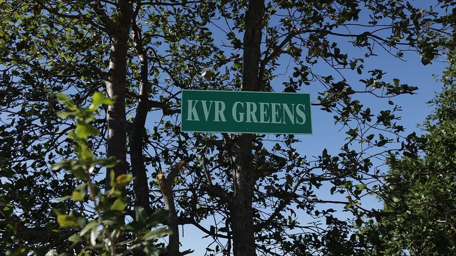 KVR Lawn 2