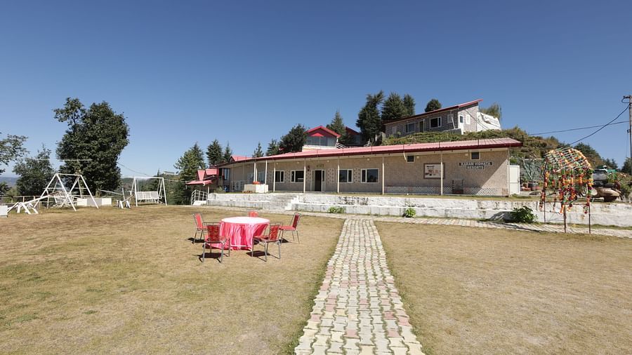 Lawn 1