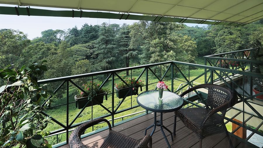  Balcony view of a verdant forest with outdoor seating and flowering plants.
