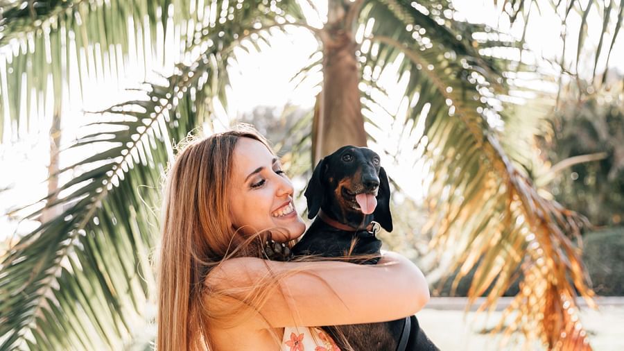 Pet friendly hotel in north goa