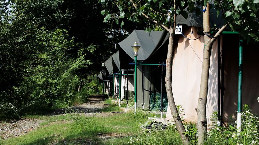 Let s Camp Tents in Chail for camping in Chail