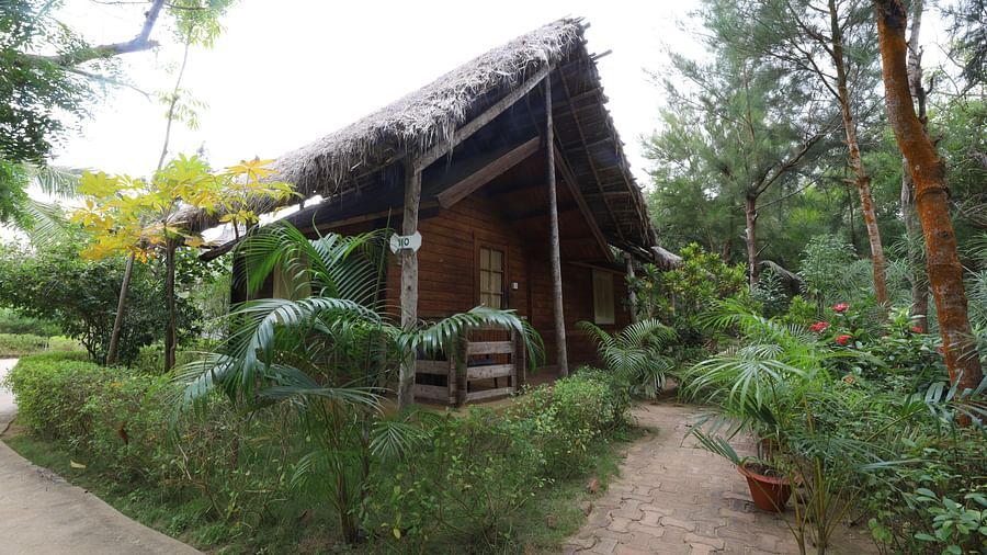 a close up shot of  the cottage and surrounded by plants-Lotus Eco Beach Resort Konark
