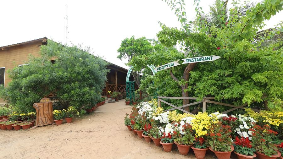 Low view image of the exterior of the Lotus Eco Beach Resort Konark covered with plants and trees.