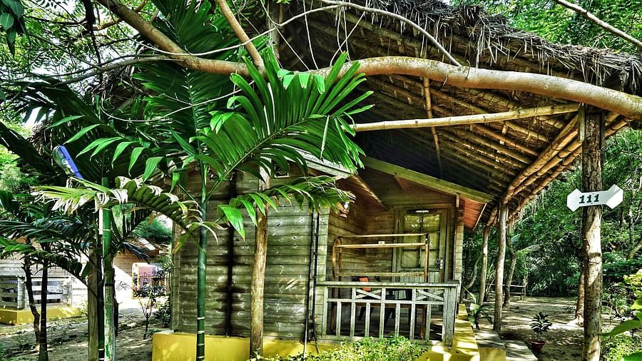 A rustic wooden cabin sheltered by a thatched roof, nestled among lush tropical plants, offering a charming retreat into nature.