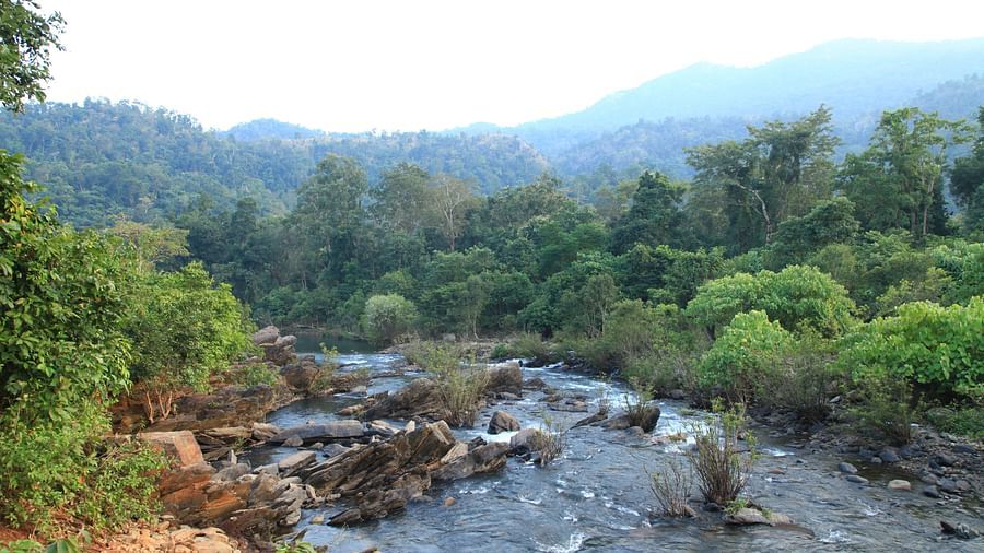 Around Lulung Aranya Nivas