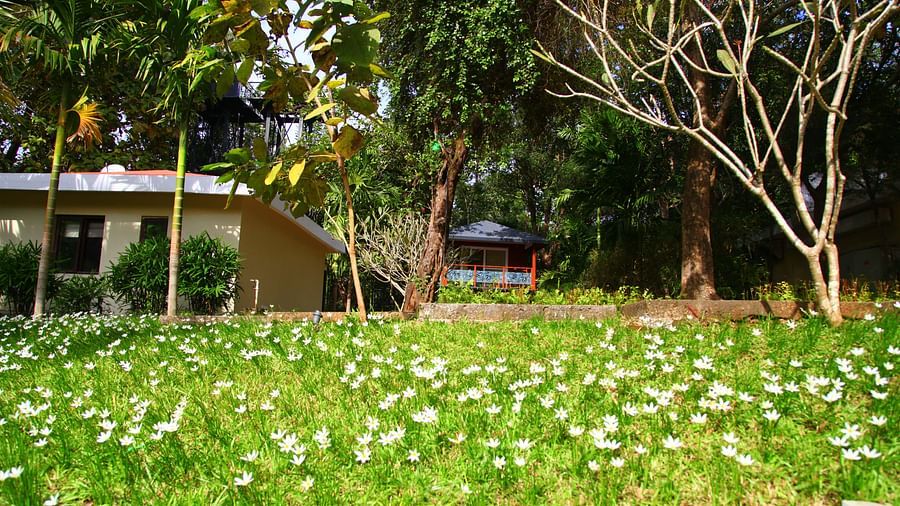 Courtyard of Lulung Aranya Nivas