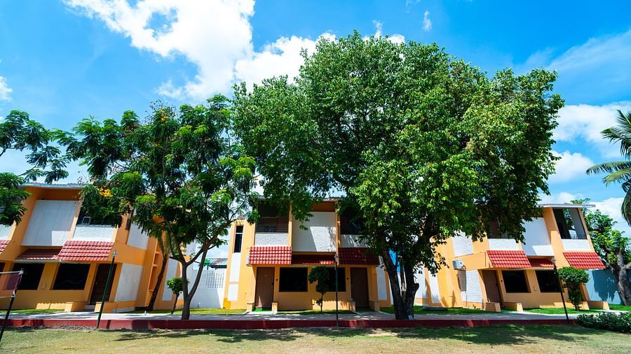 Trees shadowing the facade of hotel buildings on a sunny day