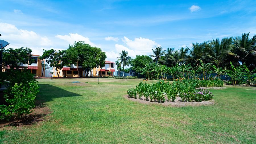 A large shot of the lawn under blue sky surrounded by coconut trees mostly