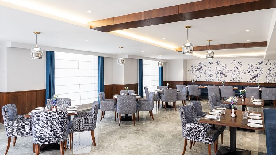 An image of our restaurant in Haridwar featuring comfortable upholstered chairs around tables, creating a warm ambience for your dining experience - MJ Sarovar Portico, Haridwar