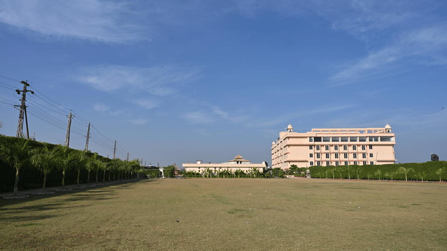 Back Lawn 