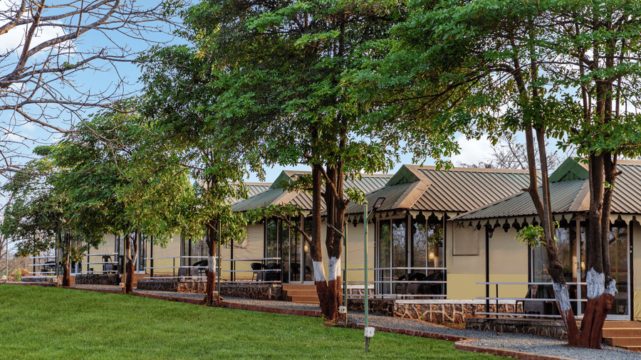 Nature Trails Kudalika Swiss-style cream cottages with green corrugated roofs, glass frontage and private decks, seen through a row of trees beside a green lawn.