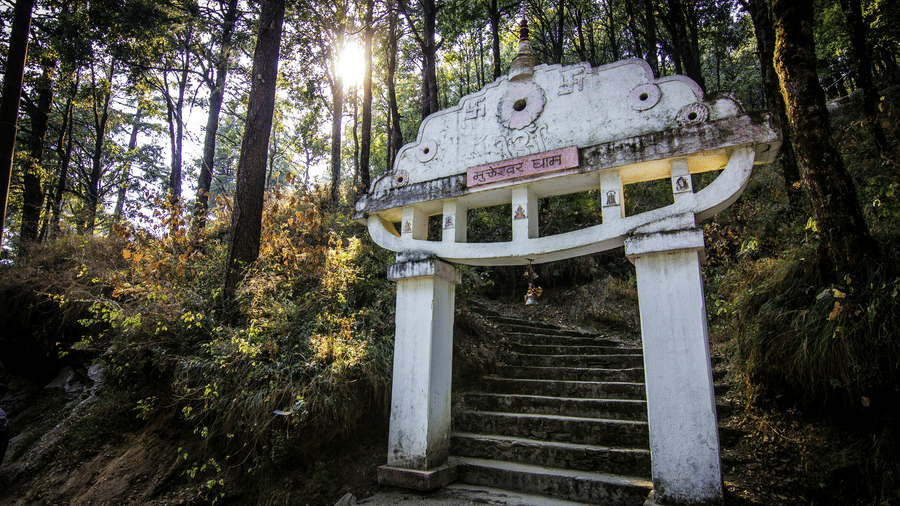 Entrance pathway to Mukteshwar Dham temple surrounded by forest