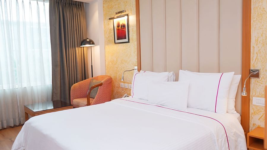 Spacious standard room at Nemesia with a comfortable double bed and floor-to-ceiling windows.