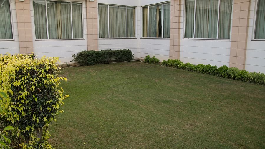 Orchid Lower Lawn 3