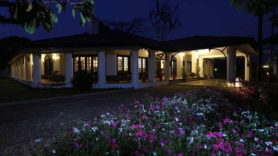 Flowers blooming in front of Parisons Plantation