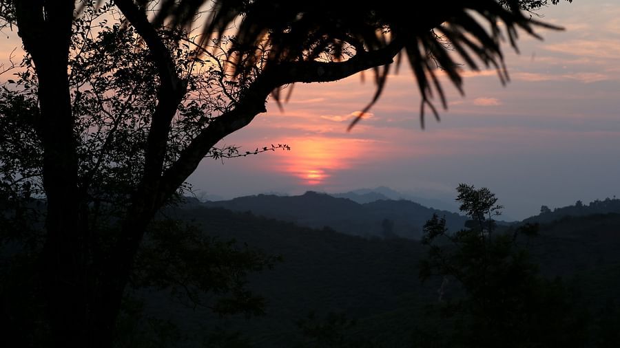 Sunset over the hill dotted with trees