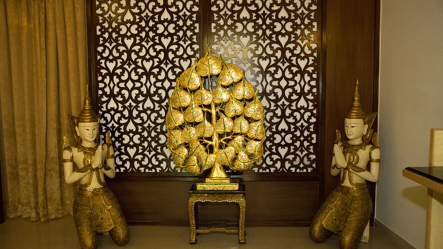Wellness Centre   Spa - 12