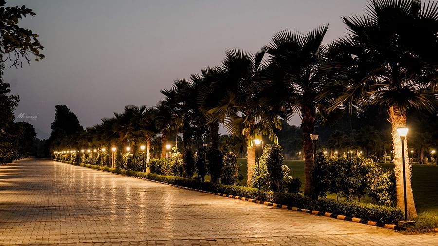 Pride Ranakpur Resort Convention Centre - view of the property pathway at night time illuminated by yellow coloured lights placed next to a row of trees