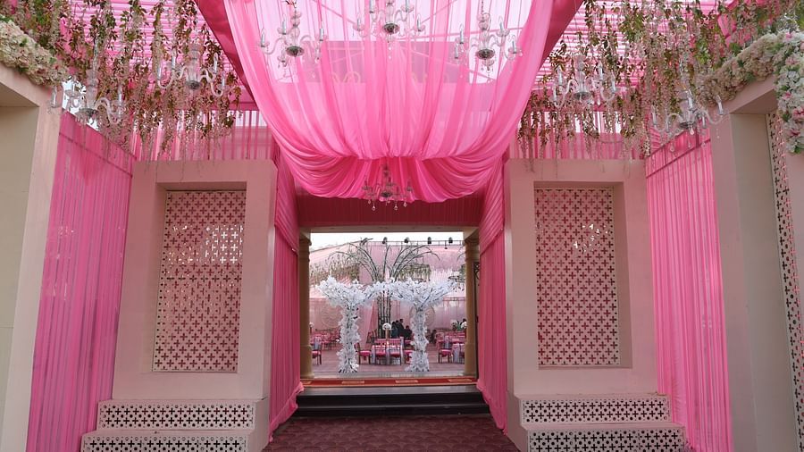 The Grand Velvet 9