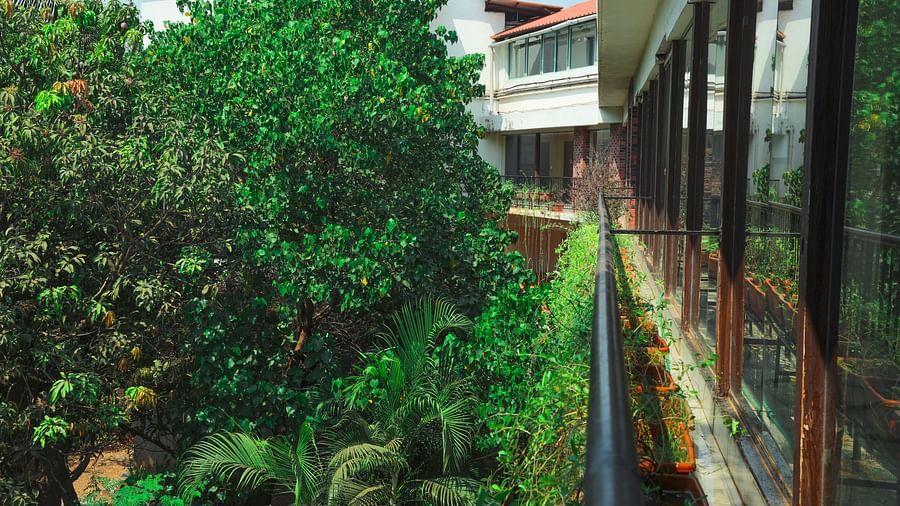 Garden 2