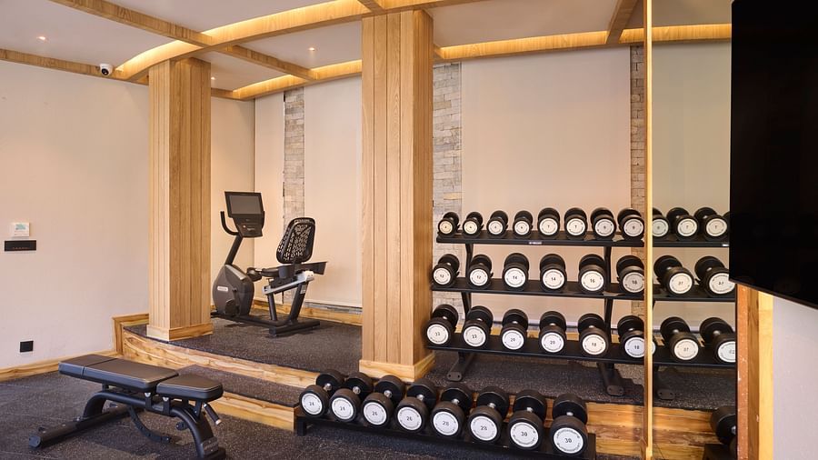 Well-equipped gym with dumbbells, benches, and cardio machines - Royal Tulip, Chitwan