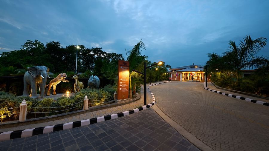 A well-maintained pathway leading to the hotel with palm trees lining the path - Royal Tulip, Chitwan