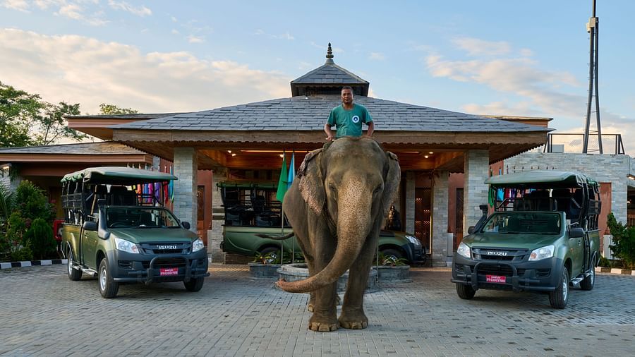 Hotel entrance with safari jeeps and an elephant, offering a unique experience - Royal Tulip, Chitwan